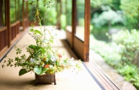 逛小丸子博物馆