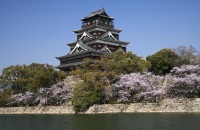 去广岛城赏樱