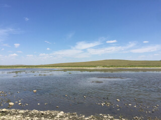 內(nèi)蒙古呼倫貝爾自由行組團(tuán)_香港旅游團(tuán)內(nèi)蒙古呼倫貝爾_內(nèi)蒙古呼倫貝爾九月旅游