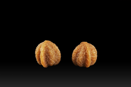 food_picture