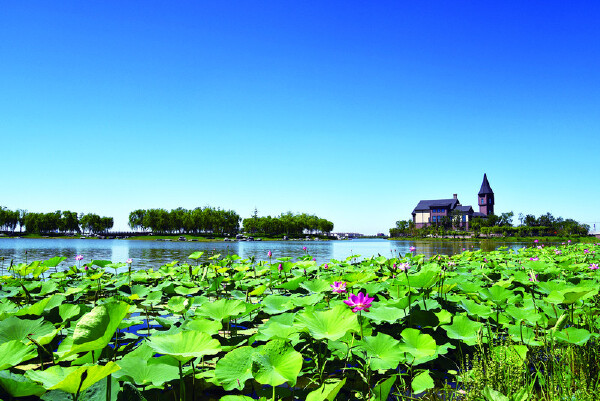 从瓷房子到天津港地图_从瓷房子到天津港市内