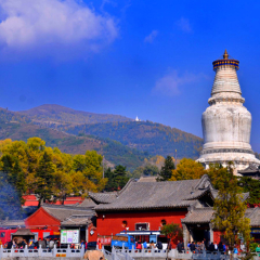 景点模块 