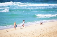 镜浦海水浴场悠闲