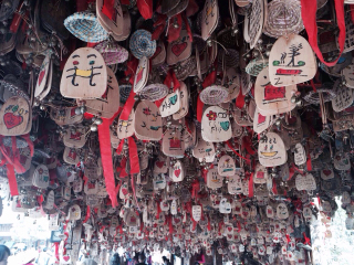 云南玉龍雪山旅行跟團(tuán)_云南玉龍雪山旅行團(tuán)自由行_云南玉龍雪山旅游一次多少錢