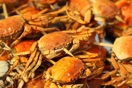 food_picture