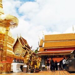 活动模块 