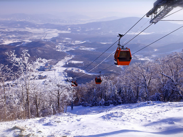 世界 雪乡 亚布力双飞5日游>0购物,2晚洲际智选酒店,5s雪场(滑雪套装)