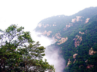 去廬山游怎么省錢_廬山特價旅游團報價_跟團廬山旅游價格表
