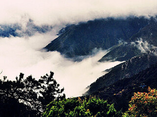 廬山旅游價(jià)格_廬山旅游跟團(tuán)多少錢_廬山旅游價(jià)格多少跟團(tuán)