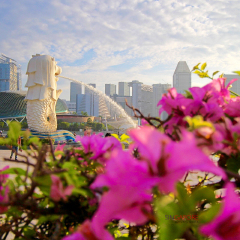 景点模块 
