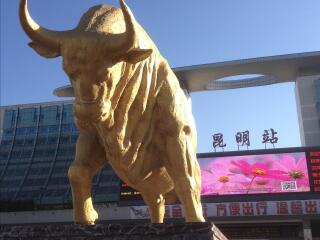 深圳包团丽江旅游_丽江旅游询价_跟团旅游网丽江