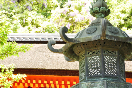 [端午]<日本东京-大阪-箱根6日游>A线双点往返 神鹿公园 春日大社 B线伊豆美景 三保松原 享东京一天Free 含北京、廊坊、唐山至天津机场往返大巴接送