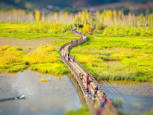 http:\/\/www.tuniu.com\/tour\/210473562