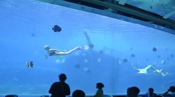 【当天可预订 海底餐厅】 三亚亚龙湾瑞德姆海底全自助餐厅【美人鱼表