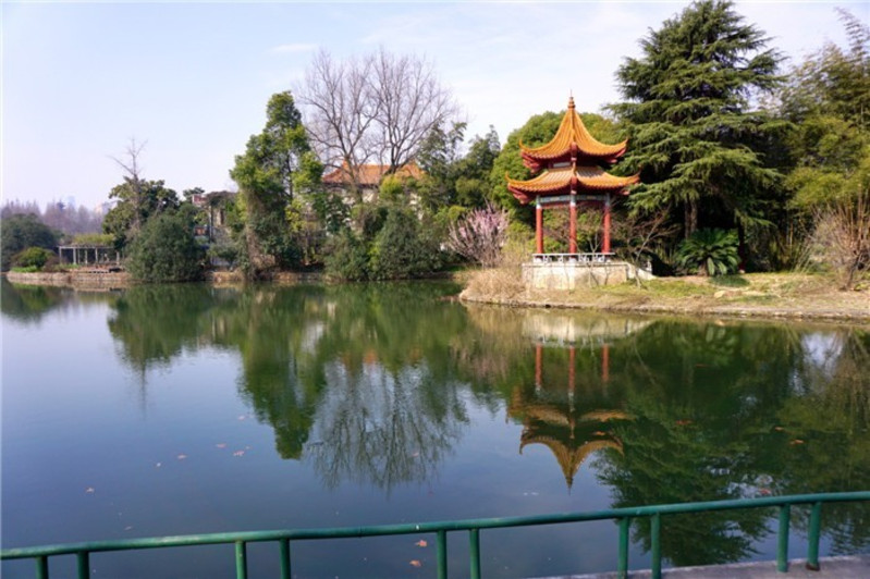 1天武汉青山公园赏花玩法