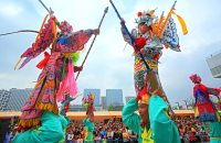看杂技表演