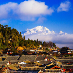 活动模块 