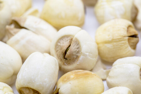 food_picture