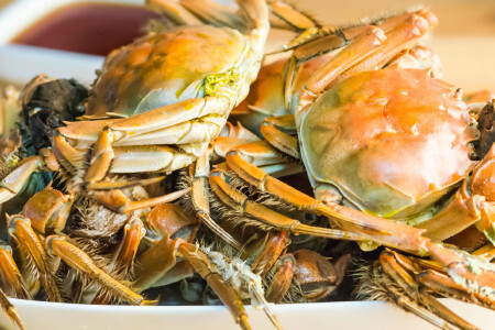 food_picture