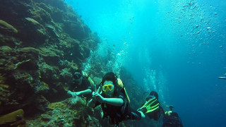<印度尼西亚-美娜多5或6日游>前任三取景地 深圳直飞 双岛游 布纳肯海洋生态保护区   出海浮潜  一天自由活动