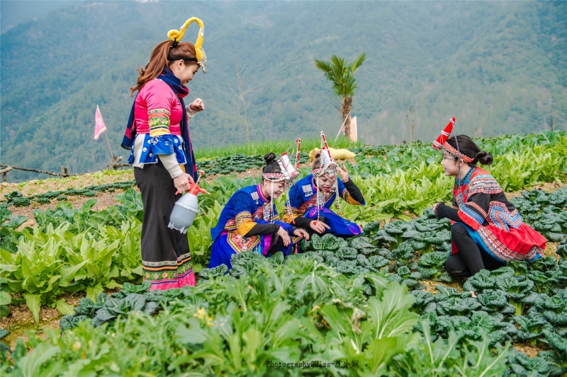 朝阳区外来人口最多村_朝阳区金盏乡东窑村(2)
