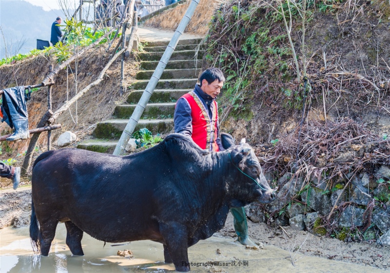 朝阳区外来人口最多村_朝阳区金盏乡东窑村(2)