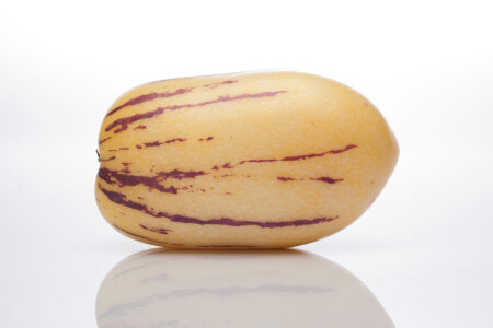 food_picture