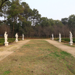 东湖磨山梅园的#旅图换旅费#