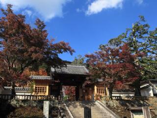 近期日本游價(jià)格_10月1日日本旅游報(bào)價(jià)_日本旅游幾月份最好