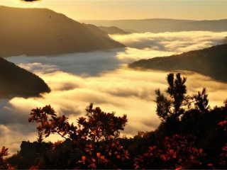 東北四日游_10月東北的旅游路線_東北特價(jià)旅游團(tuán)報(bào)價(jià)