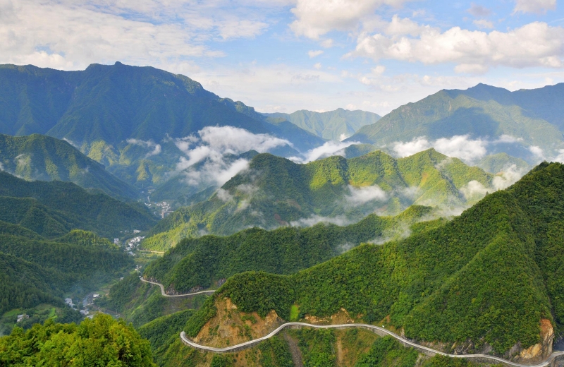 原来，这些电影都曾在重庆取景