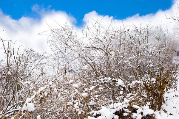2月去西岭雪山穿什么_西岭雪山2月天气温度气