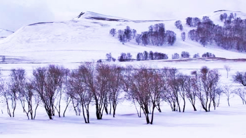  塞外赏雪景温泉-承德避暑山庄-枫水湾温泉城3日游>纯玩游 温泉疗养