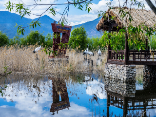 报团旅游去丽江_过年去丽江跟团_国旅丽江游价格