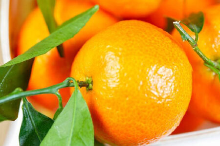 food_picture