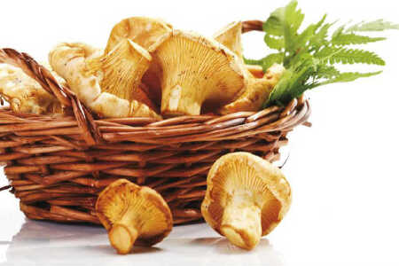 food_picture