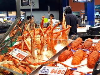 旅行澳大利亚_澳大利亚双飞旅游价格_澳大利亚旅行团自由行