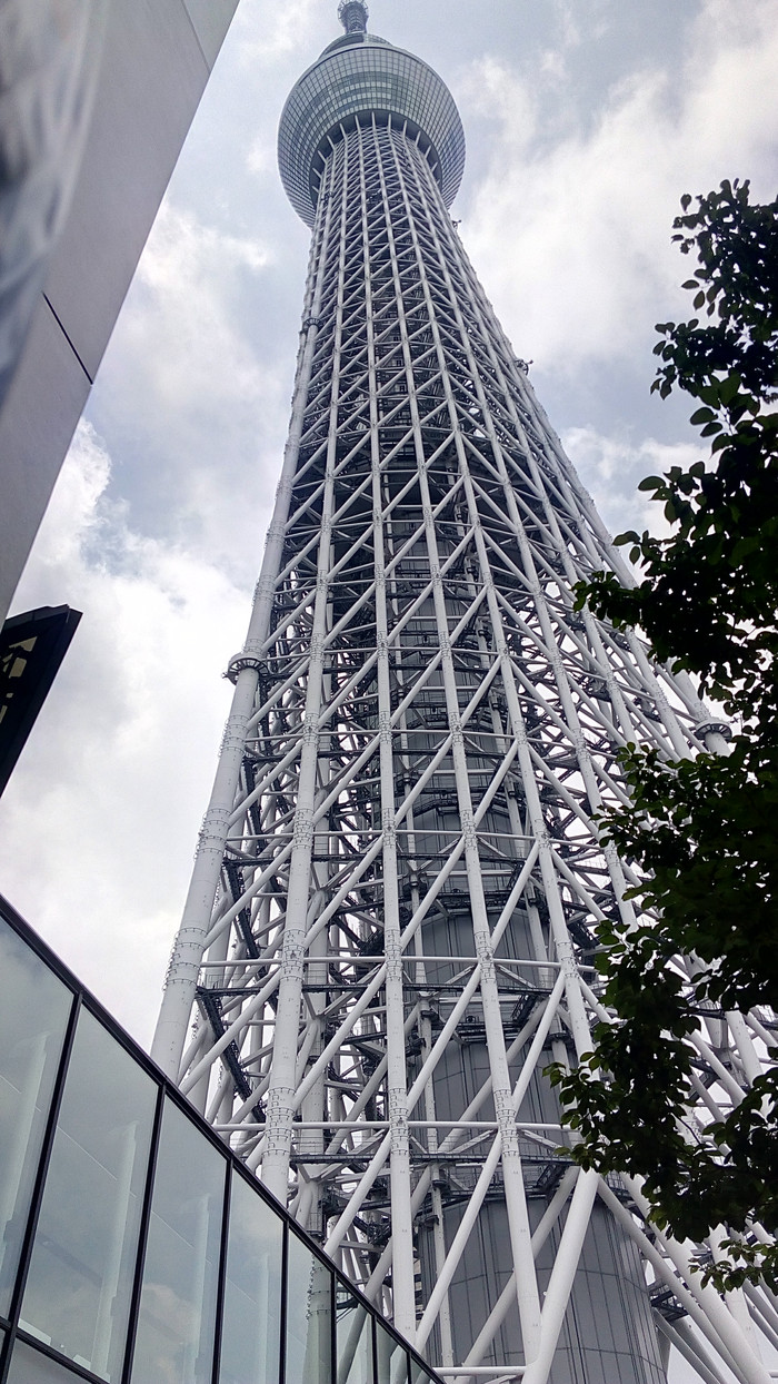 天空树目前是取代东京塔的最高建筑