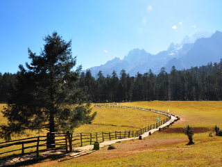 去云南玉龍雪山游怎么省錢_云南玉龍雪山旅游團(tuán)_到云南玉龍雪山旅游報(bào)團(tuán)價(jià)格