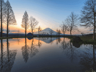 日本旅游報價_日本旅行團自由行_日本六日游
