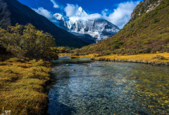 小交通模块 