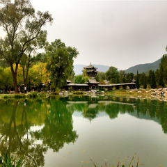活动模块 