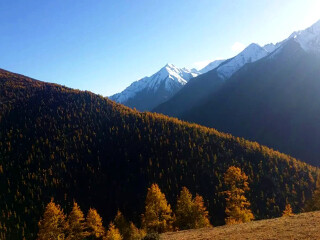 现在去云南旅游多少钱_去云南旅游参团_柬埔寨云南旅游