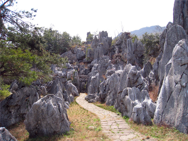 [端午] 千岛湖石林景区1日半自助游>含车含票,官方指定景区接送观光