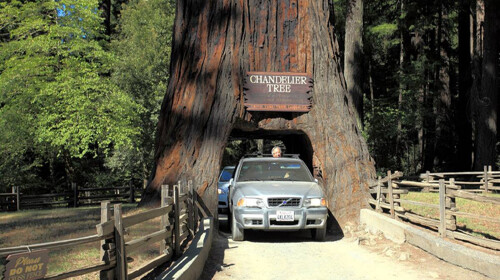 家森林-俄勒冈州-绮丽湖三日游 美国丽山旅游独