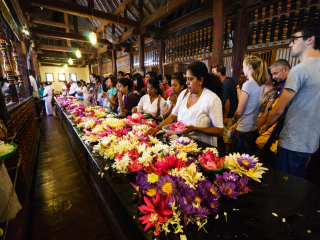斯里蘭卡旅游跟團多少錢_怎么去斯里蘭卡旅游_去斯里蘭卡游怎么省錢