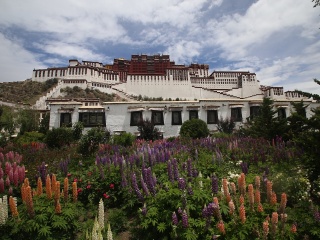 西藏游花多少錢_西藏跟團還是自由行_西藏旅游一次多少錢