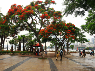 現(xiàn)在去廈門(mén)旅游多少錢(qián)_廈門(mén)旅游團(tuán)報(bào)價(jià)_廈門(mén)高端品質(zhì)旅游團(tuán)