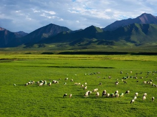 甘肅敦煌旅游價(jià)格_現(xiàn)在到甘肅敦煌旅游多少錢_甘肅敦煌最適合旅游的季節(jié)