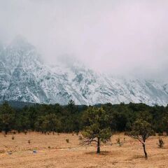 景点模块 